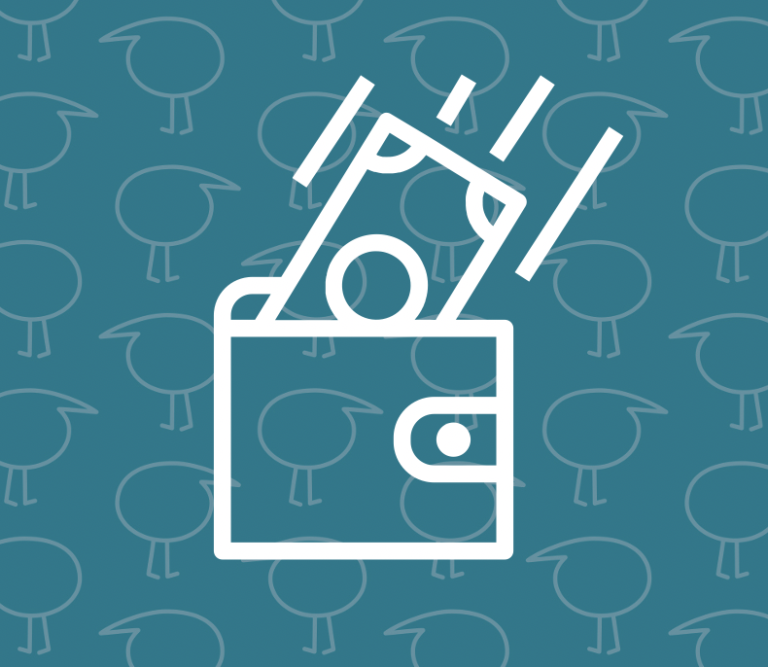 Wages or drawings