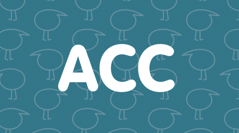 ACC levies explained
